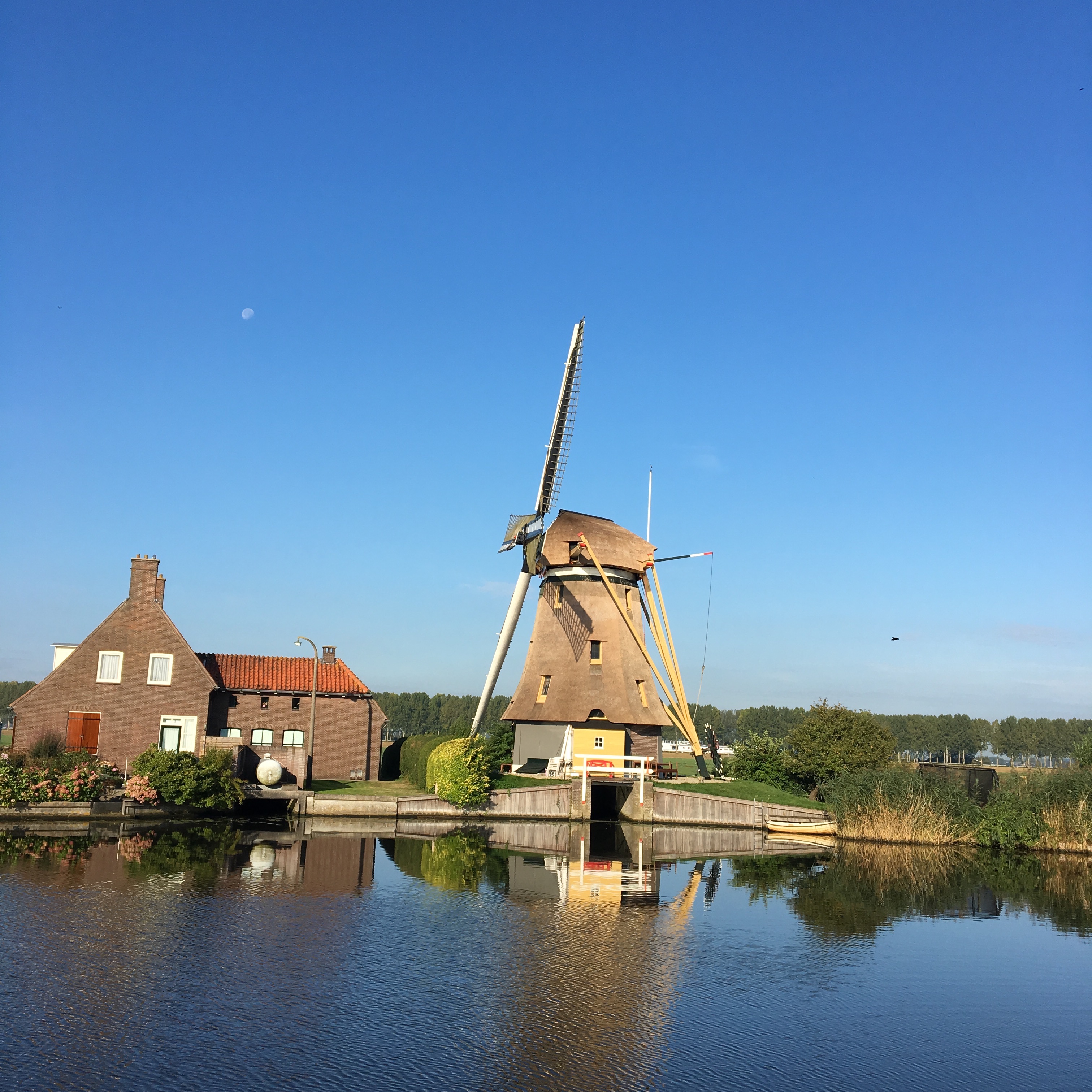 Dutch windmill at rest