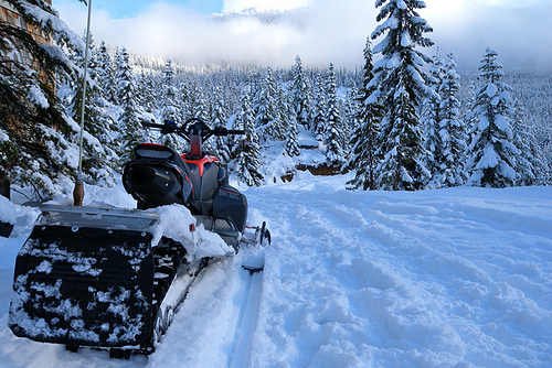 Snow mobiles in Canadian forest