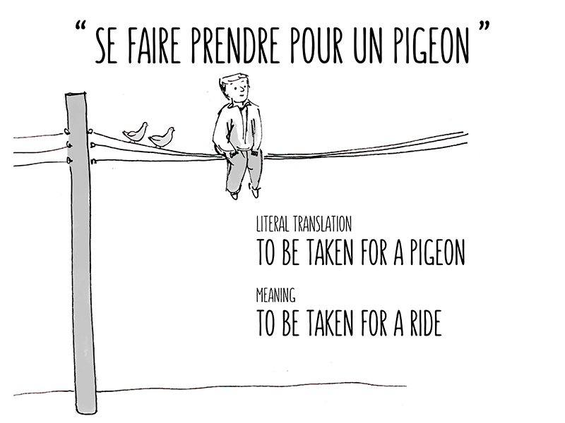 se faire prendre pour un pigeon - Ruxandra by Gamesforlanguage.com