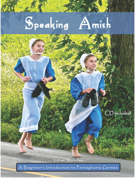 Speaking Amish Cover photo
