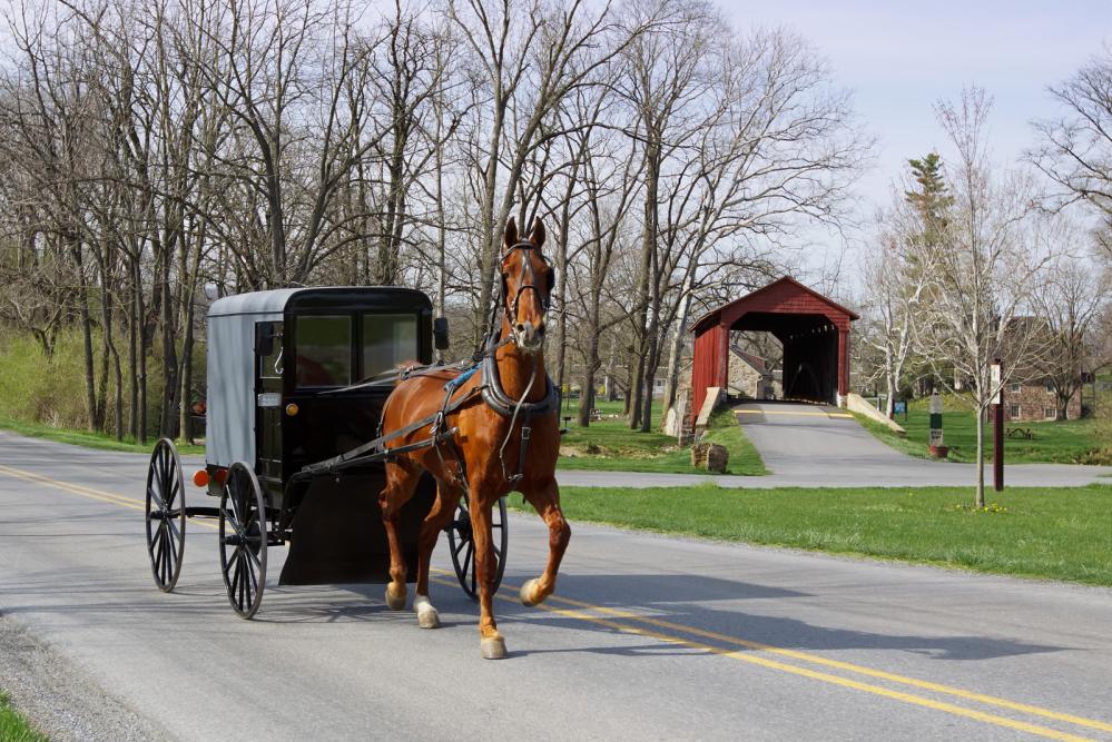 Amish Horse and carriage in Pennsylvania Dutch country