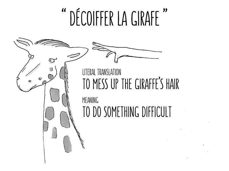 décoiffer la giraffe - Ruxandra by Gamesforlanguage.com