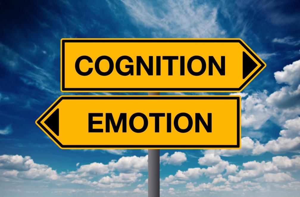 Cognition vs Emotion signs - Gamesforlanguage.com