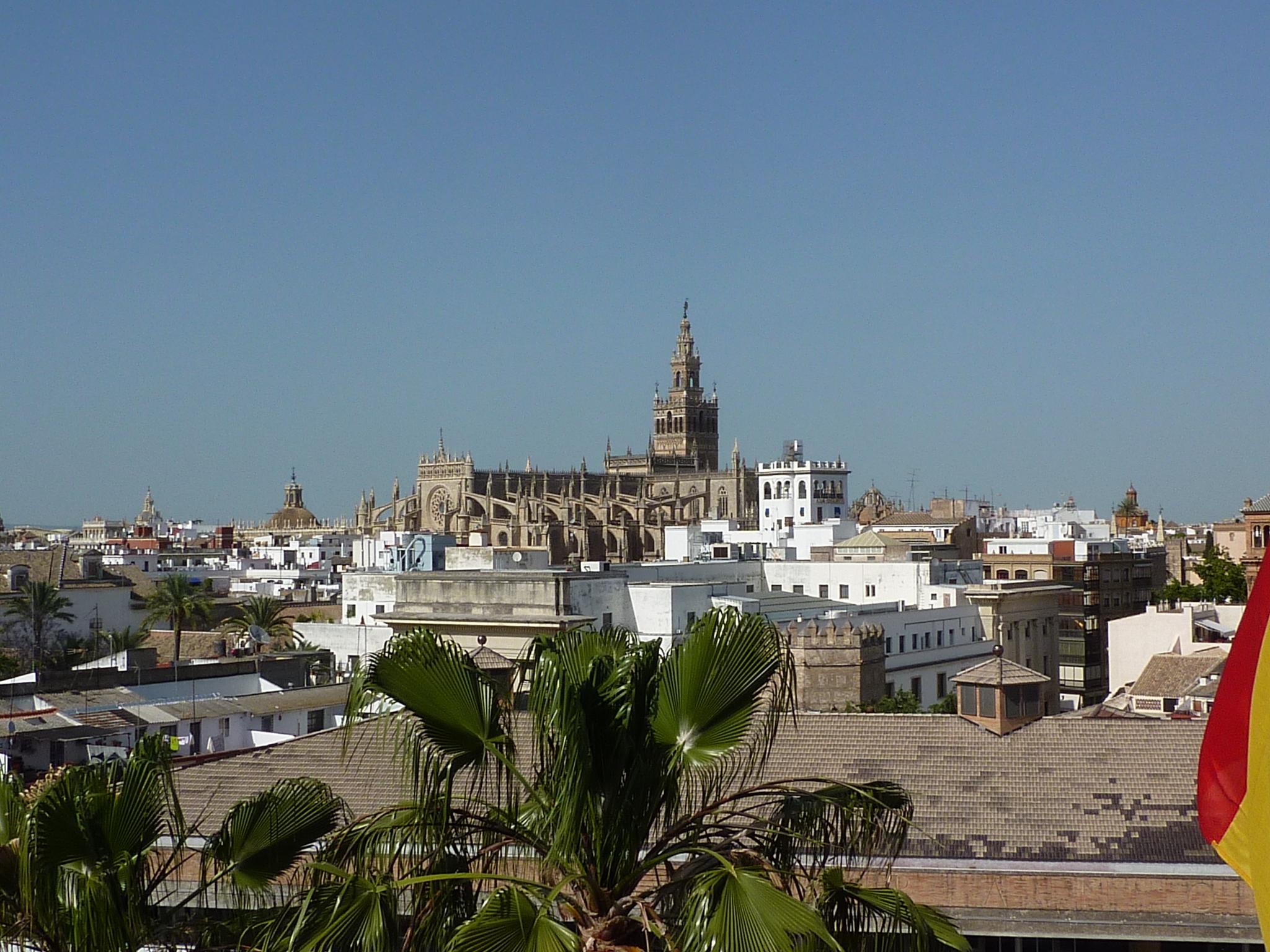View of  "La Giralda" while language learning in Seville - Spain