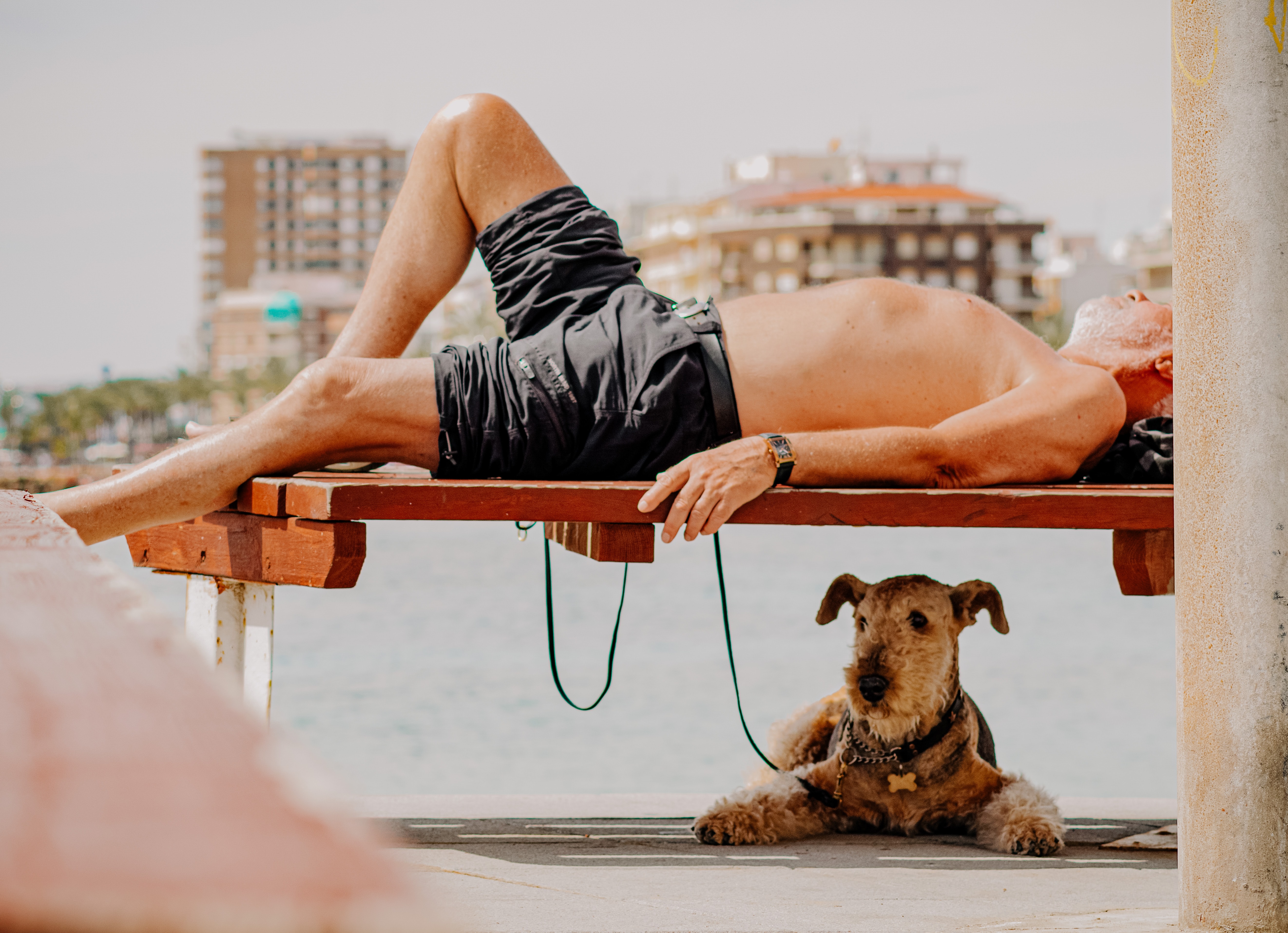 Man and dog relaxing