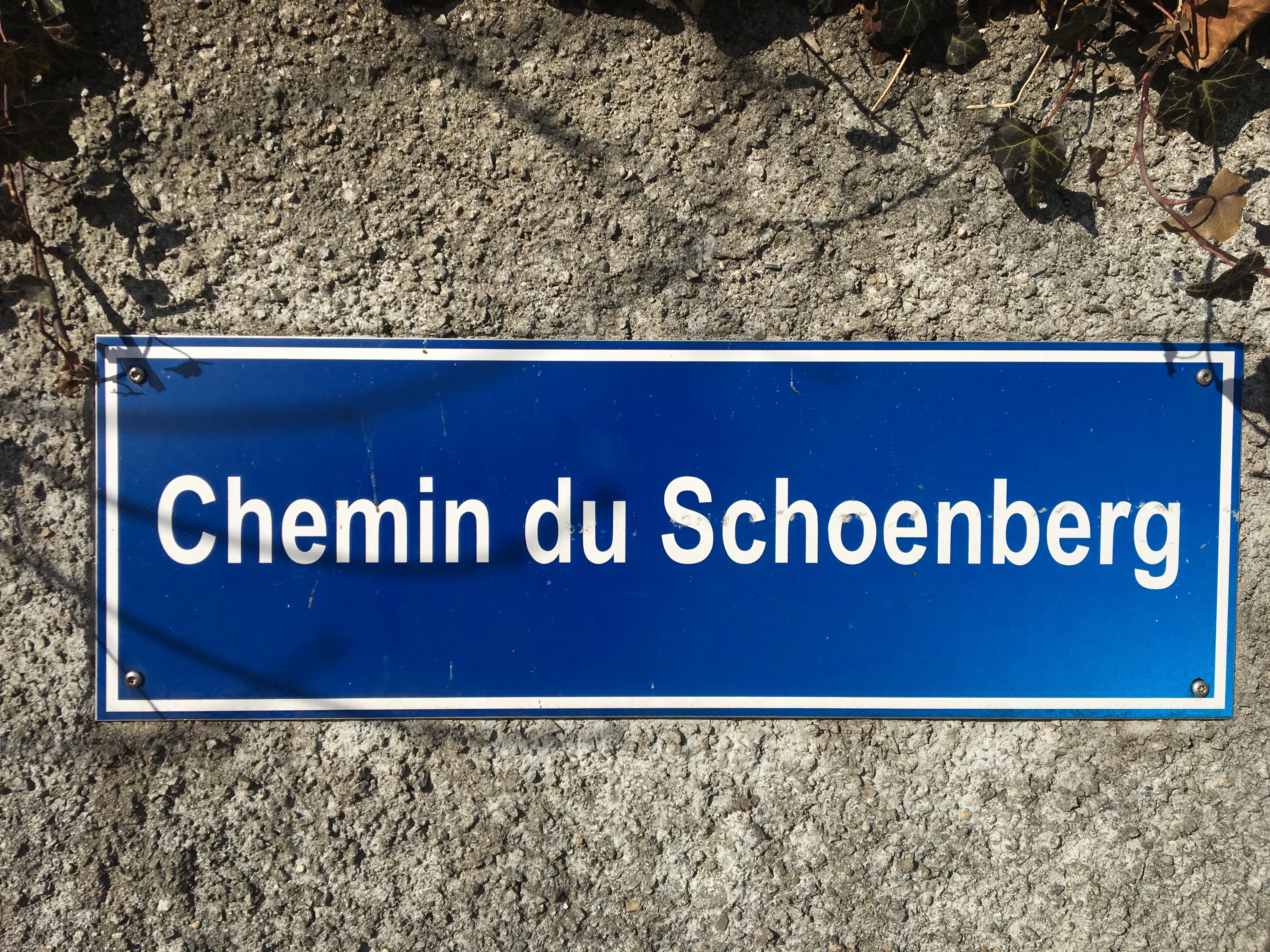 Chemin de Schoenberg sign - Gamesforlanguage.com