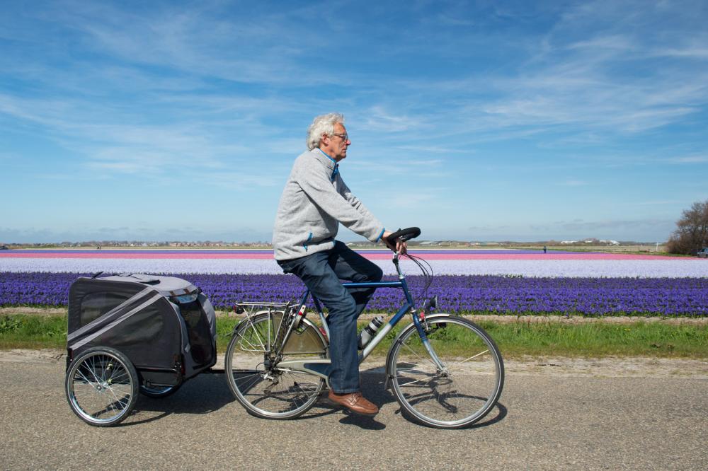 Bike rider in Holland 