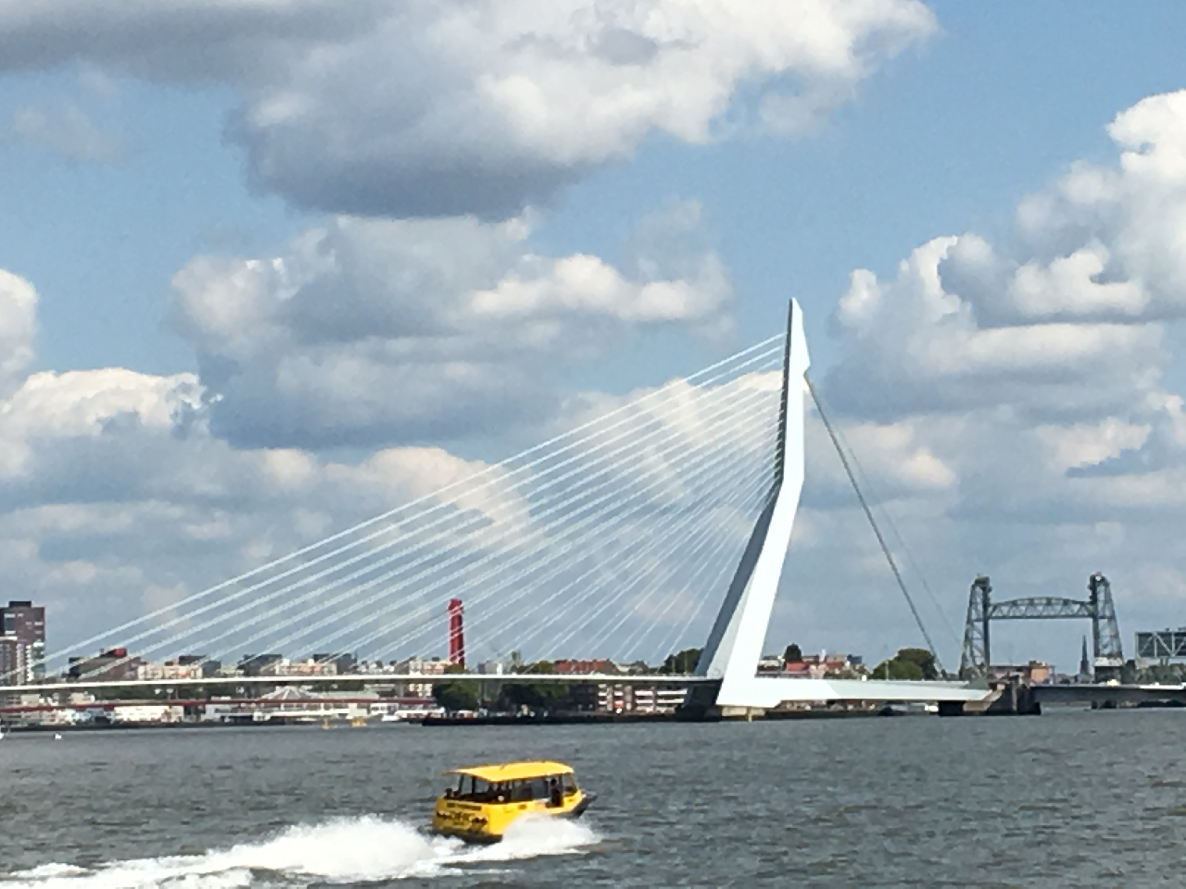 Erasmus & Koningshaven Bridges, Rotterdam