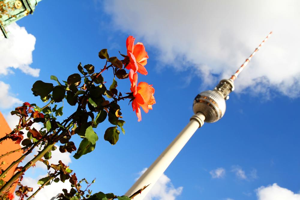 Blüten in Berlin - Gamesforlanguage.com