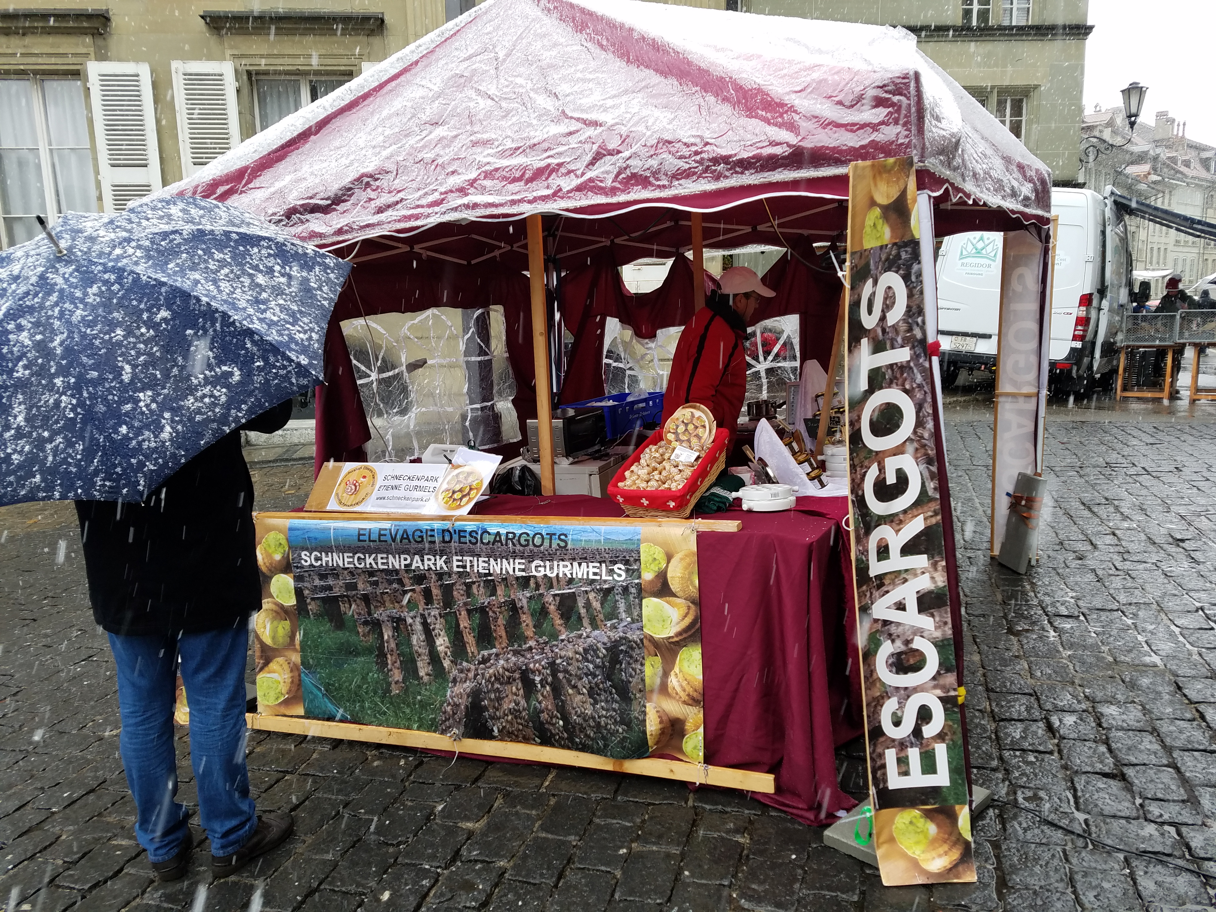 Fribourg - Snails for sale - Gamesforlanguage.com