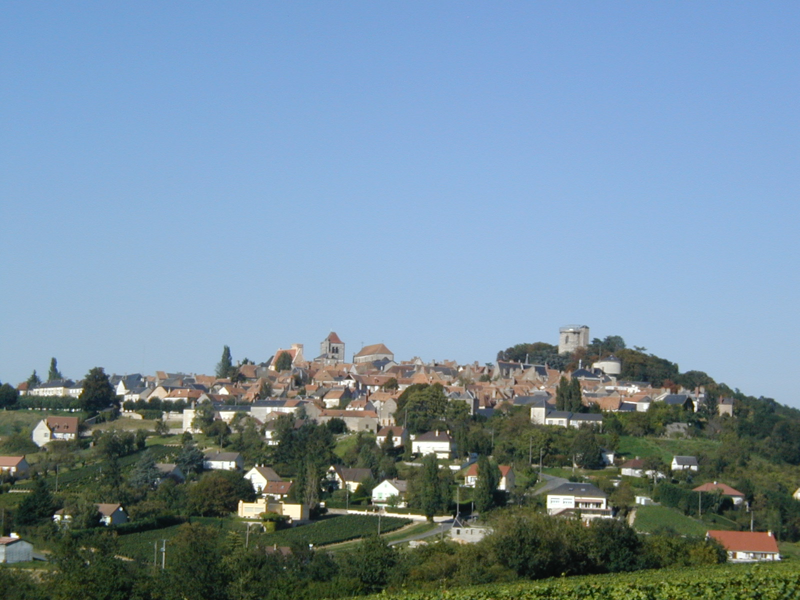View of sancerre from Gitton vinyard