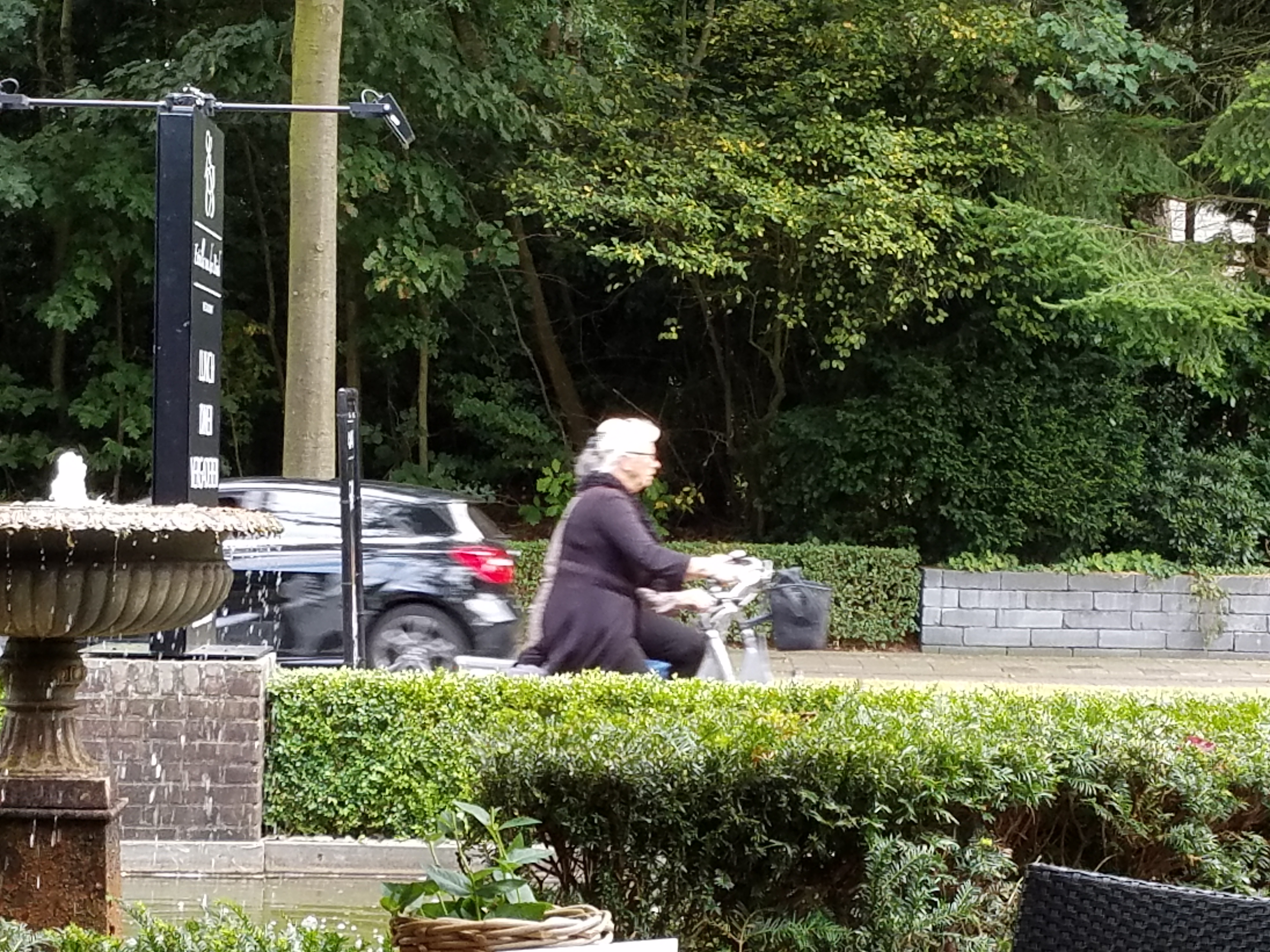 senior bikers in the Netherlands - Gamesforlanguage.com