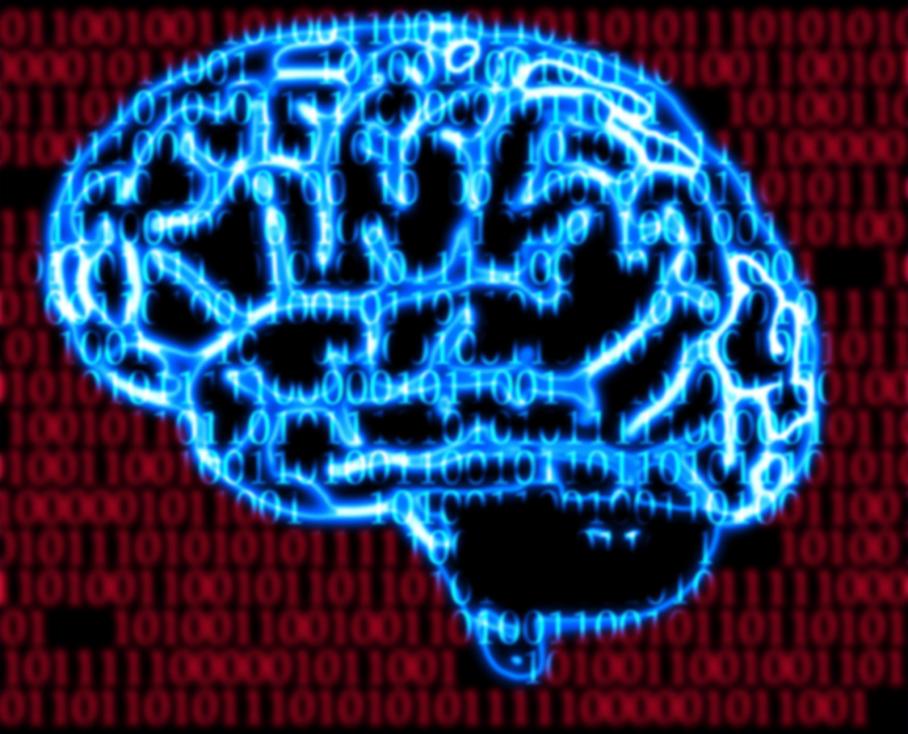 human brain encoding image