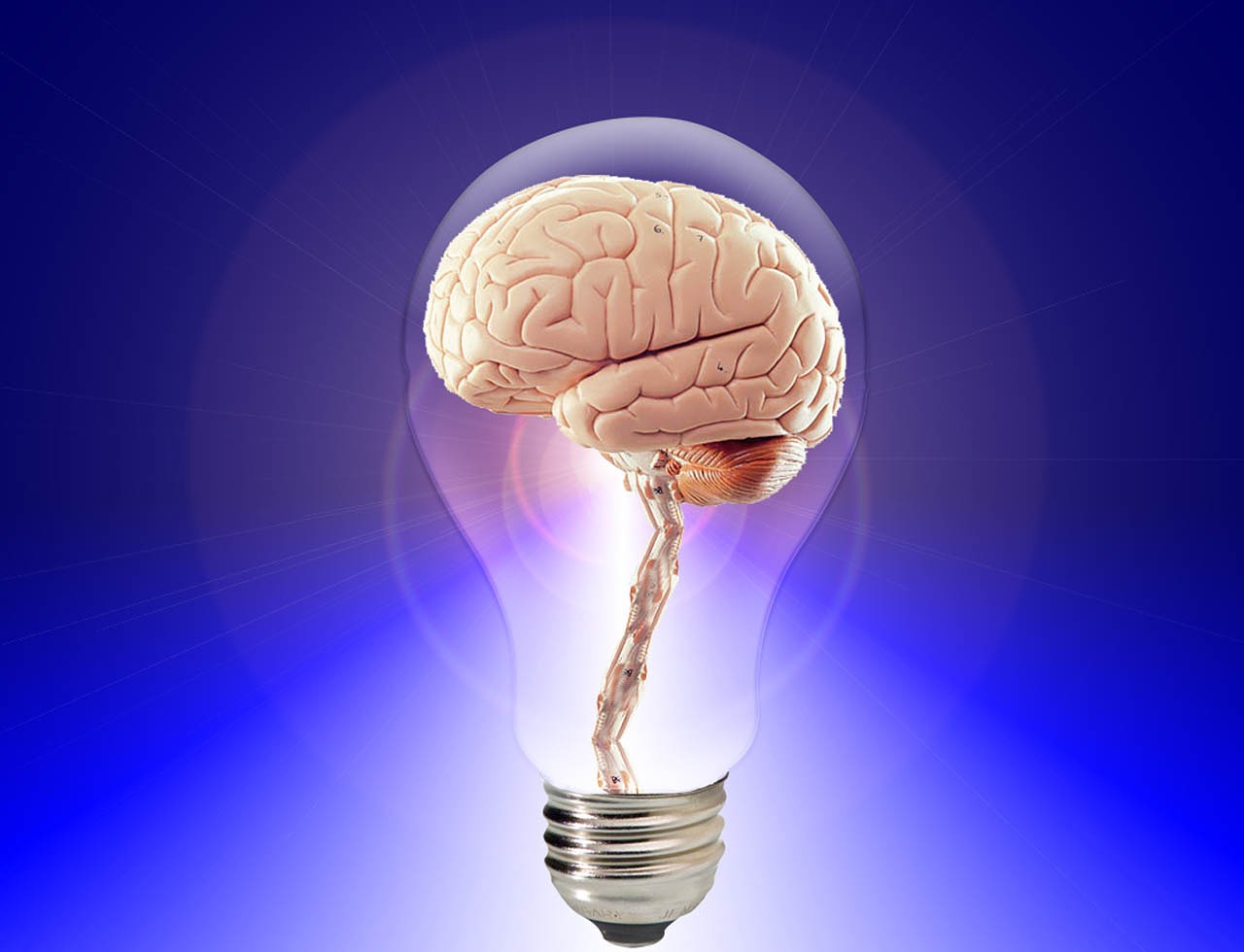 https://cdn.pixabay.com/photo/2012/03/01/15/43/brain-20424_1280.jpg Credit: Pixabay