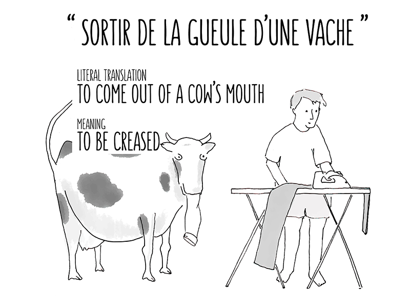 sortir de la gueule d'une vache - Ruxandra by GamesforLanguage.com