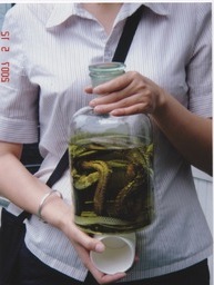 snake bottle